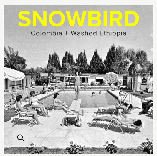 SNOWBIRD Colombia-Ethiopia